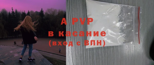 сатива Болохово