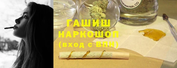сатива Беломорск