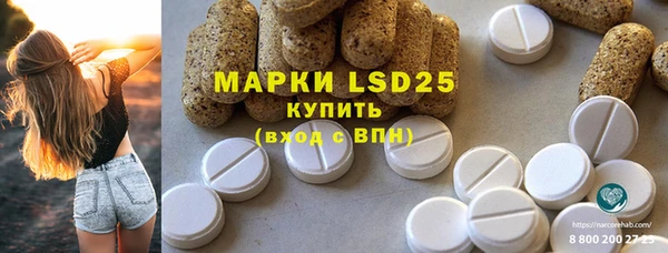 сатива Болотное